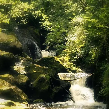 Nocleg ze śniadaniem Le Pre-chatel Châtel-Montagne